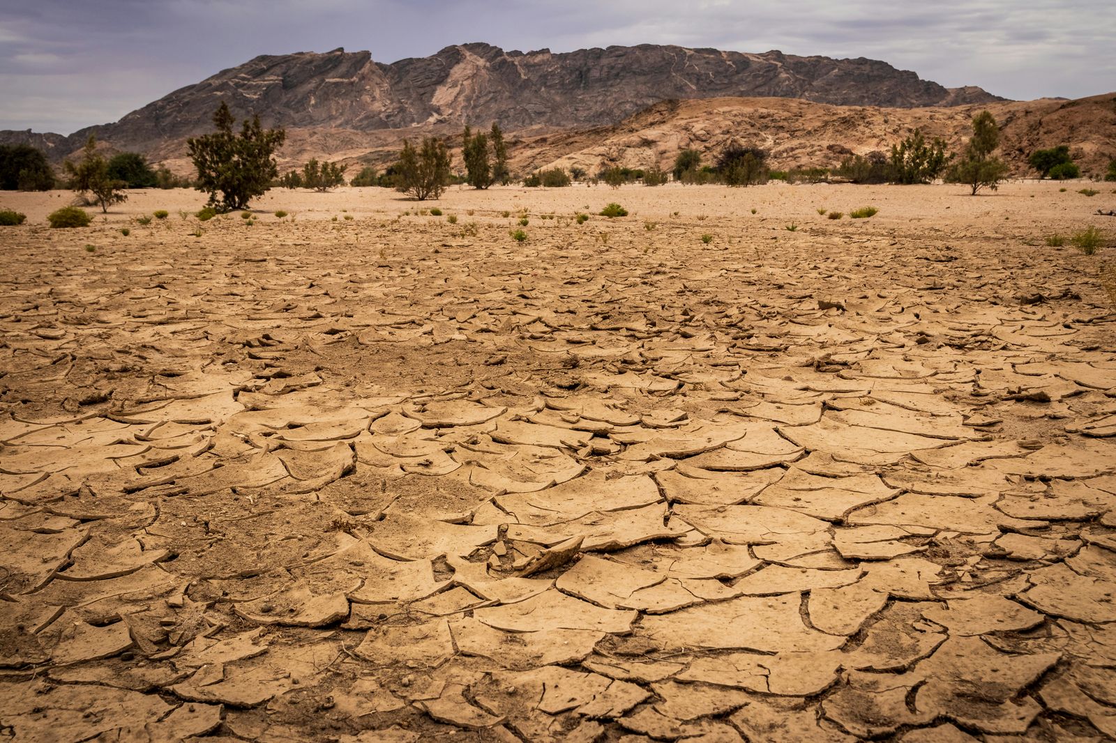 Cracked dry earth drought extreme heat climate change